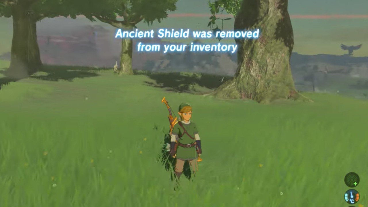 This Zelda: Breath Of The Wild Randomiser Moves Everything Around And Steals Your Items