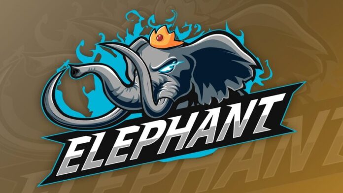 elephant-team-disband