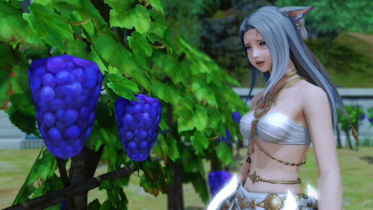 Final Fantasy 14: Endwalker 'fixes' its beautifully low-poly grapes