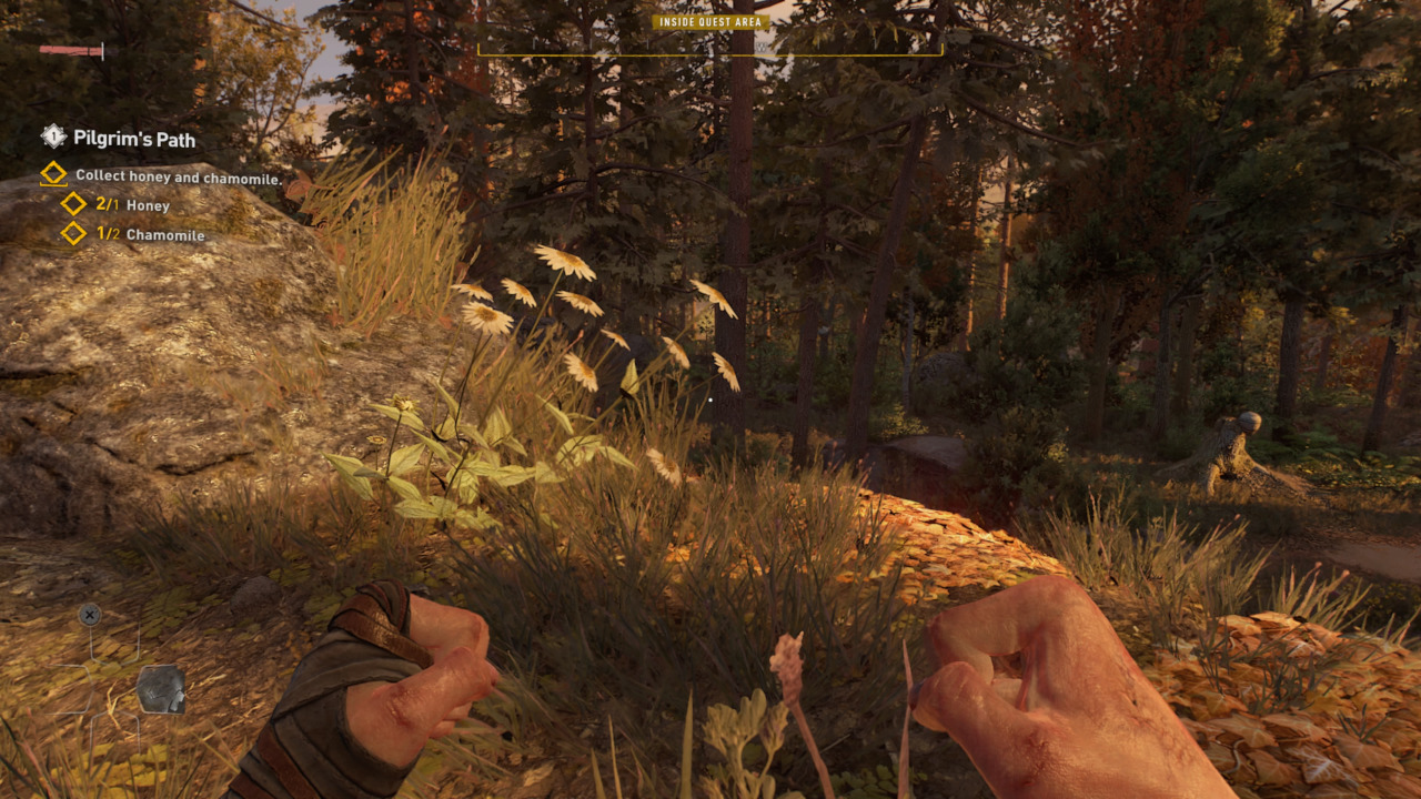 Where to find Chamomile in Dying Light 2
