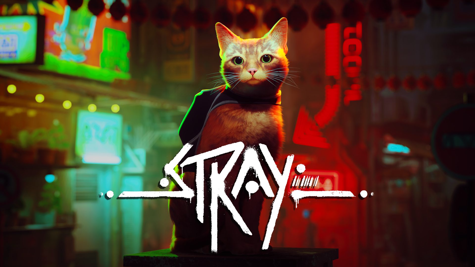 Stray comes to PS4 and PS5 on July 19 as part of PlayStation Plus Extra and Premium – PlayStation.Blog