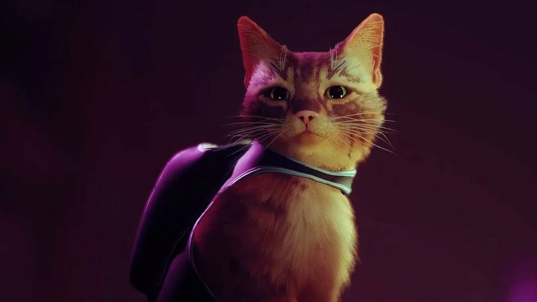 Cyberpunk cat adventure Stray gets a gameplay trailer and July release date