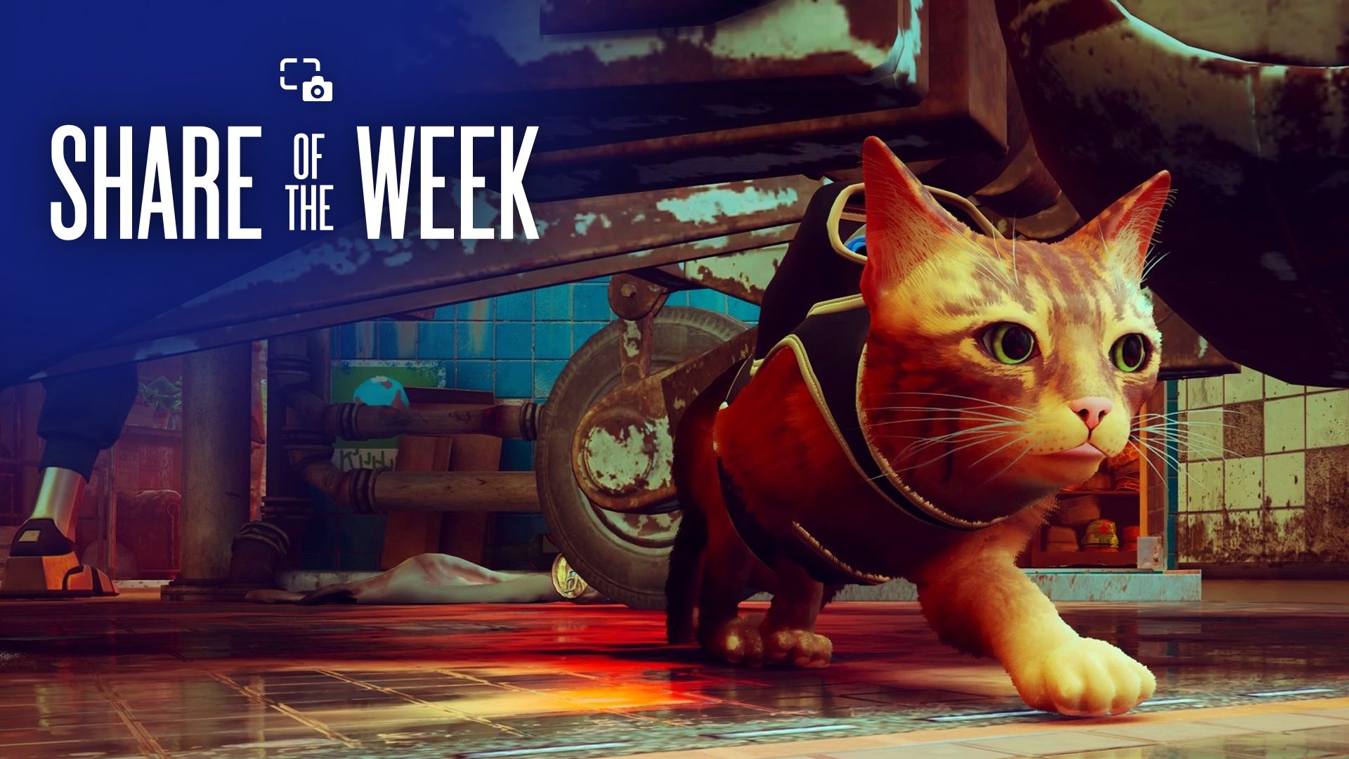 Share of the Week: Animals – PlayStation.Blog