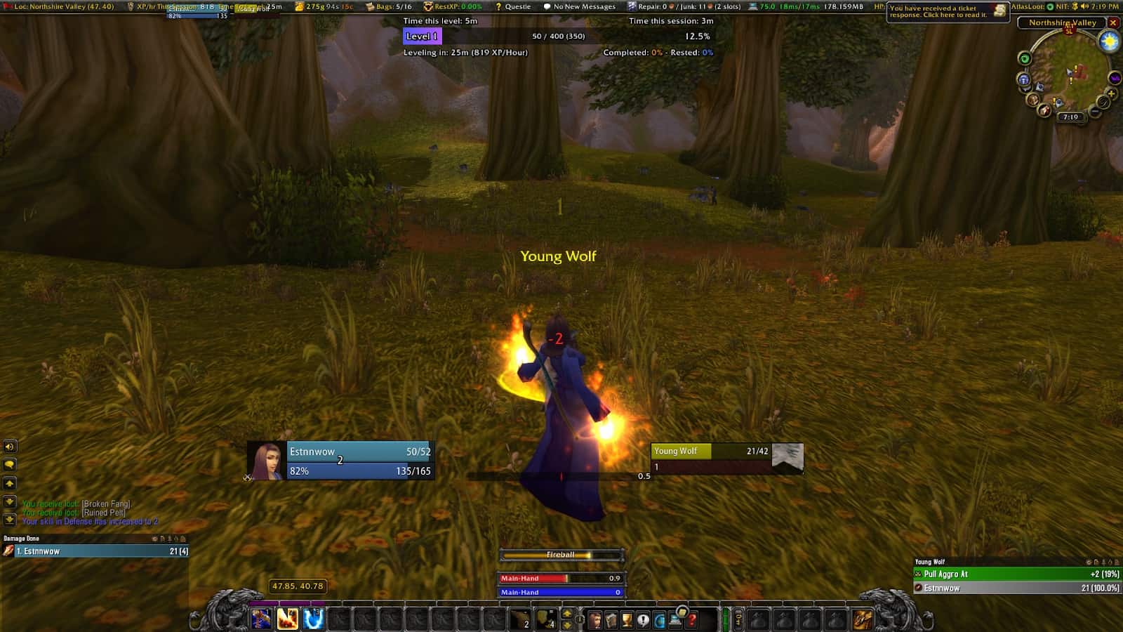 A player's perspective in World of Warcraft, showing a player's HUD and add-ons.