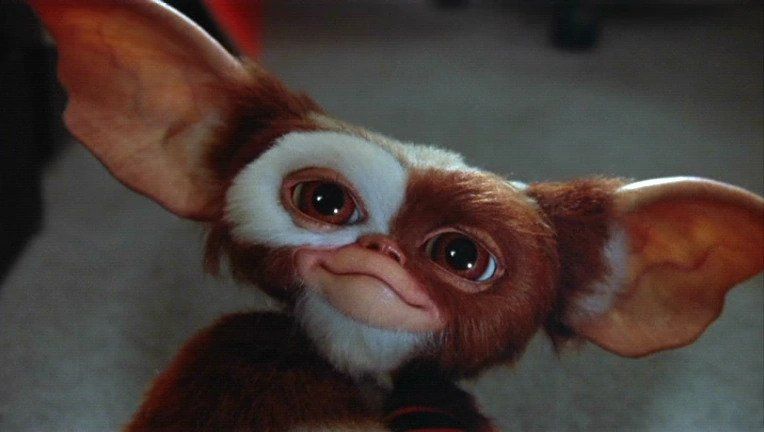 Gizmo in Gremlins