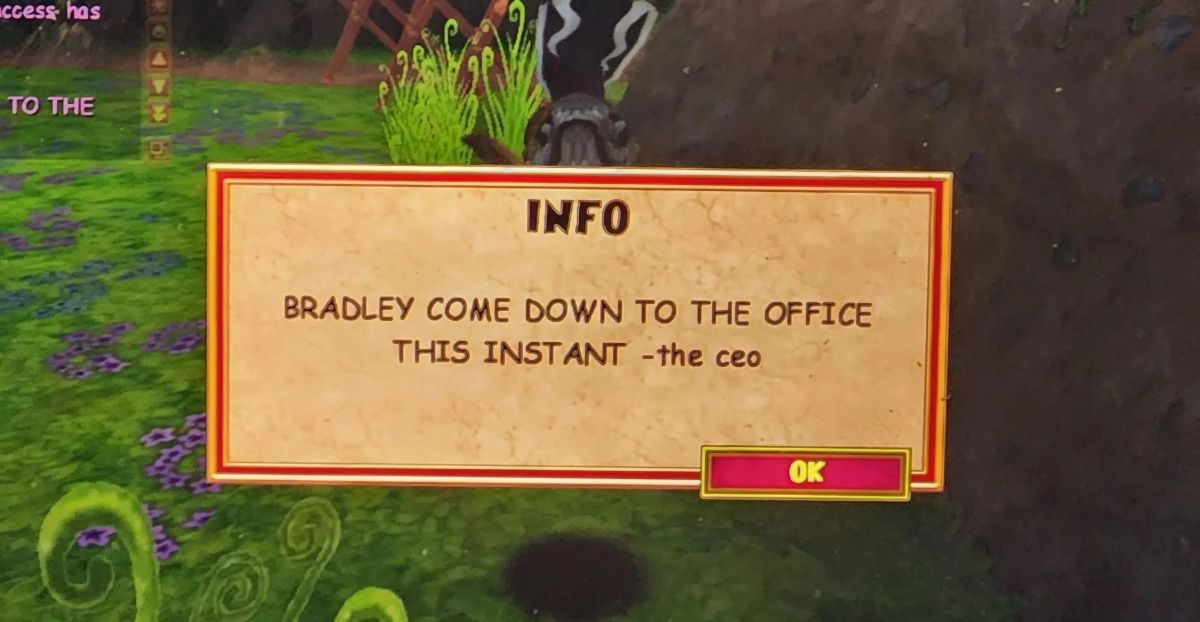 In-game message in Wizard101 reading