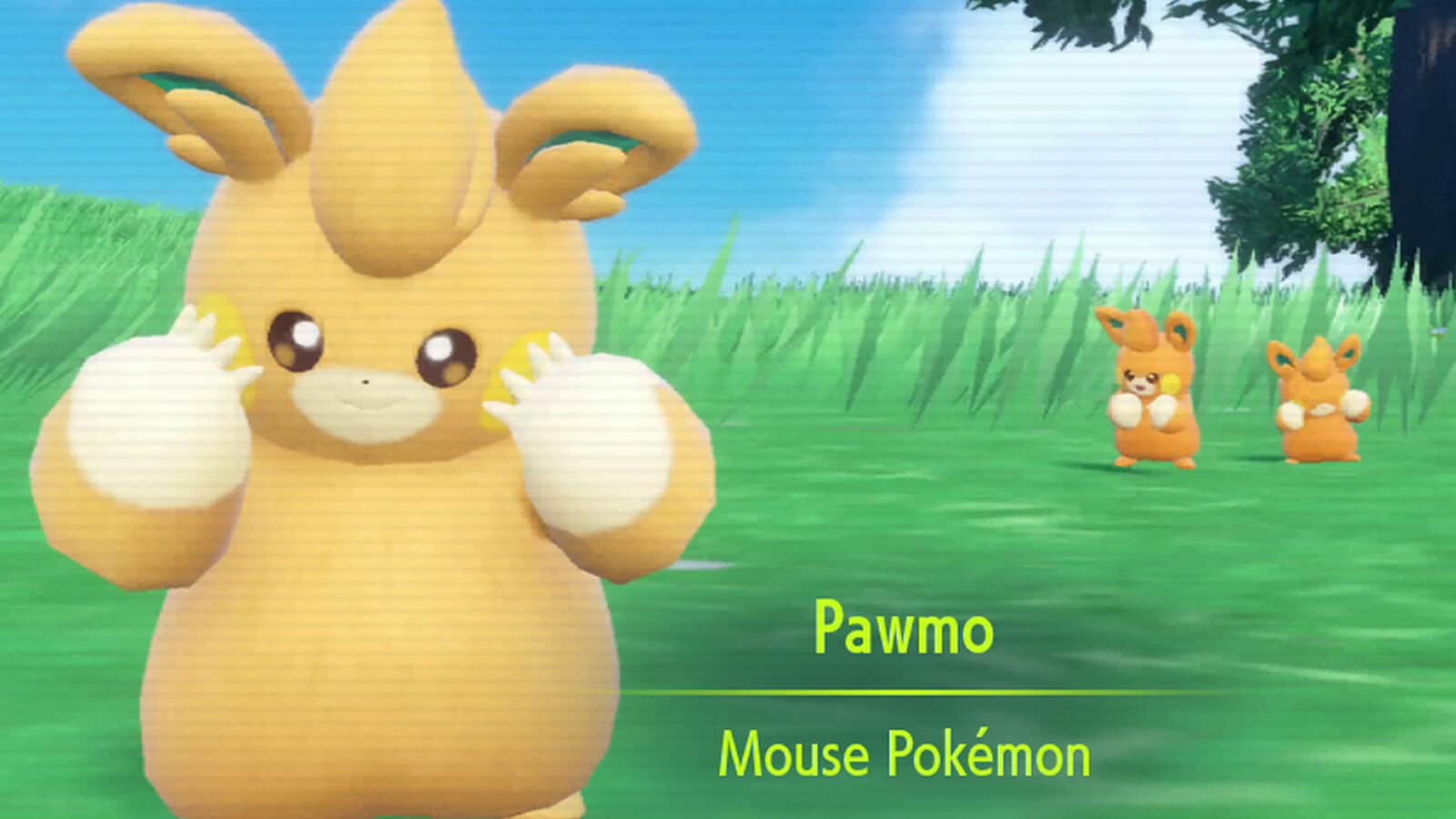 Pawmo the new mouse pokemon evolves into the electric/fighting type Pawmot