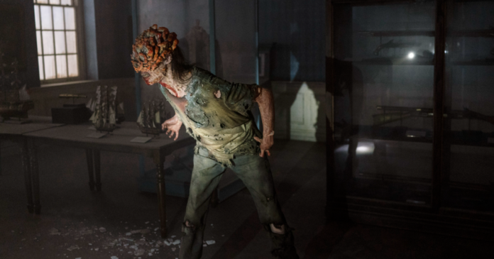 Mycologist seeks to calm fungal worries from The Last of Us TV show