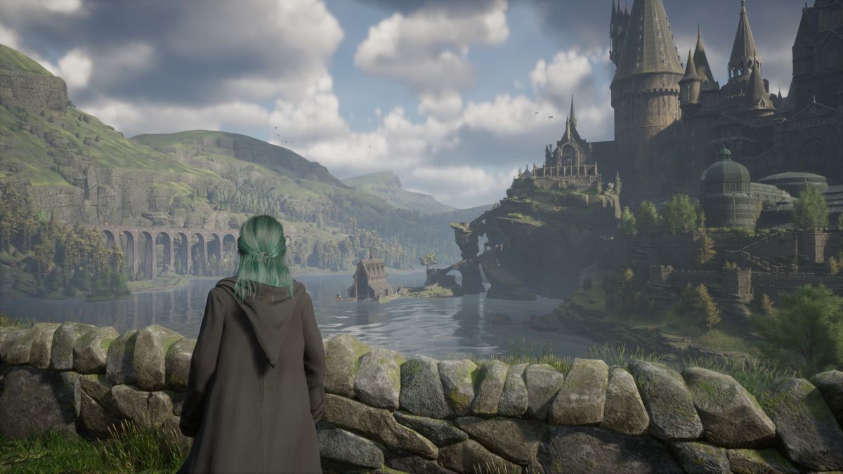 Hogwarts Legacy fluxweed stem - character is looking out over a lake to Hogwarts