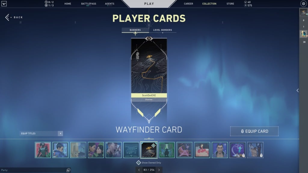 valorant player cards