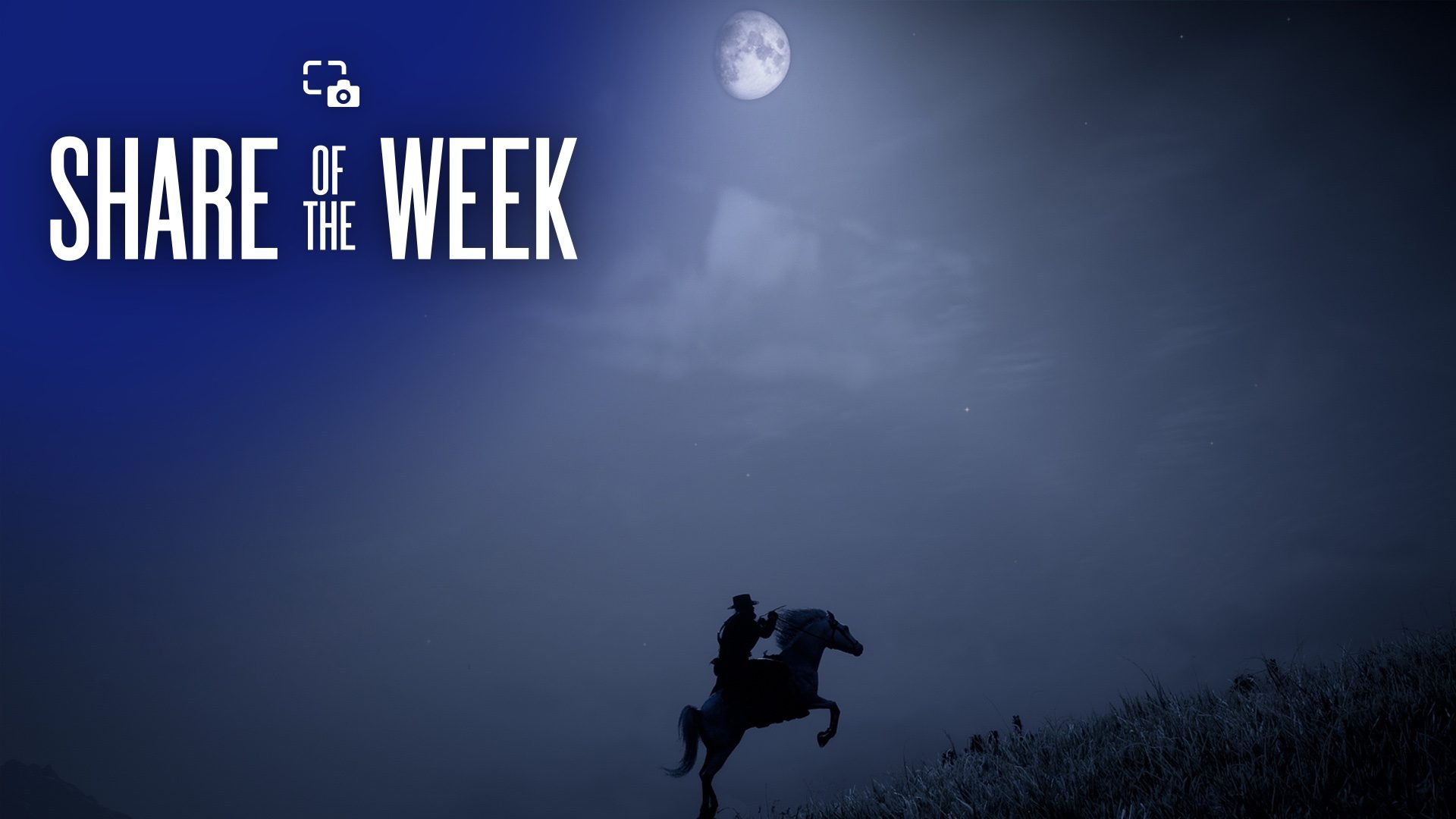 Share of the Week: Moonlight