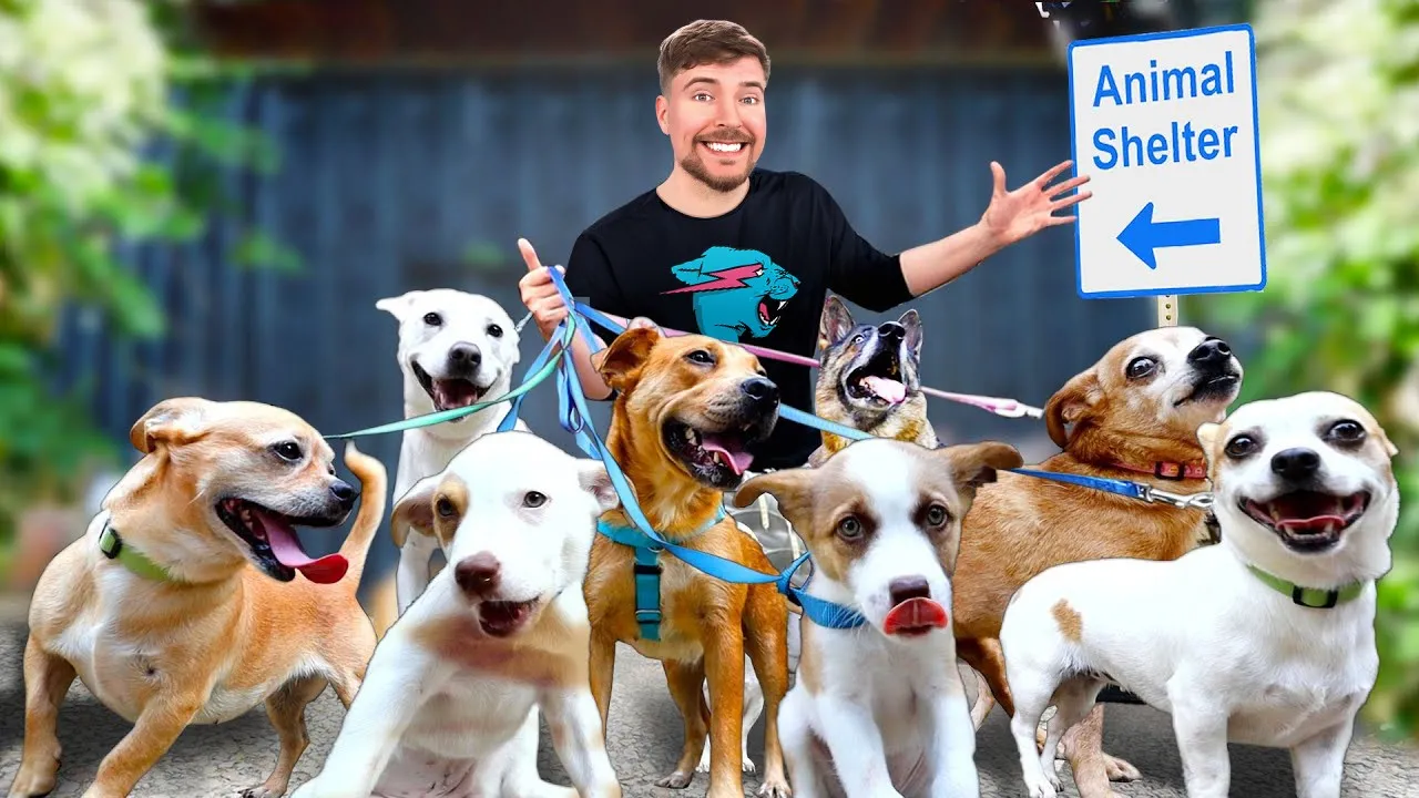 MrBeast Faces Backlash Over Dog Rescue Video, Accused of Animal Abuse