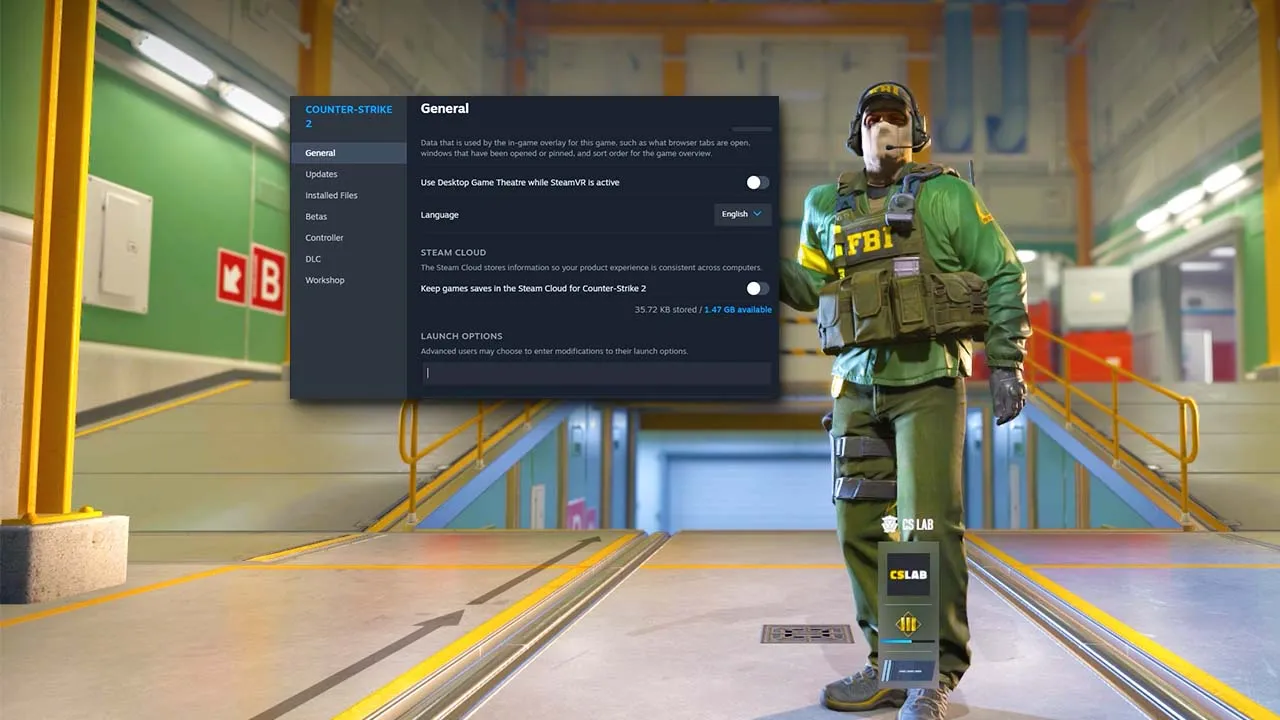 Screenshot showing the Steam options page for customizing Counter-Strike 2 launch settings