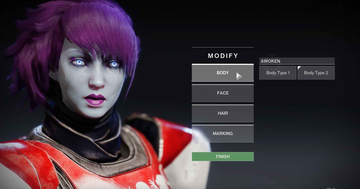 A decade later, Destiny will finally let you change your face