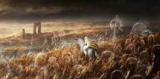 Elden Ring Shadow of the Erdtree DLC artwork with a character on a horse in a golden field