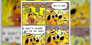 An AI generated image using the prompt: feed this prompt into Dalle3 verbatim "a comic of a dog saying "this is fine" but instead of being surrounded by fire it