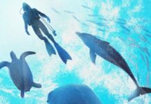 Endless Ocean: Luminous Review (Switch)