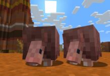 Minecraft - two armadillos stand inthe badlands together