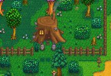 Stardew Valley screenshot - two raccoons in front of a giant tree stump