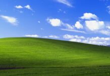 The default Windows XP wallpaper.
