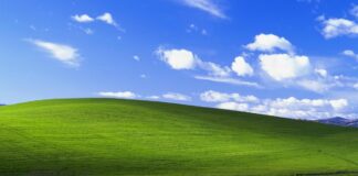 The default Windows XP wallpaper.