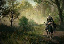 Shadow of the Erdtree is Elden Ring's sole DLC, but may not be the series' end