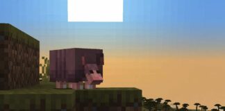 Armadillo on a hill in front of a sunset in Minecraft